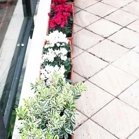 Eden Venice בית הארחה מסטרה